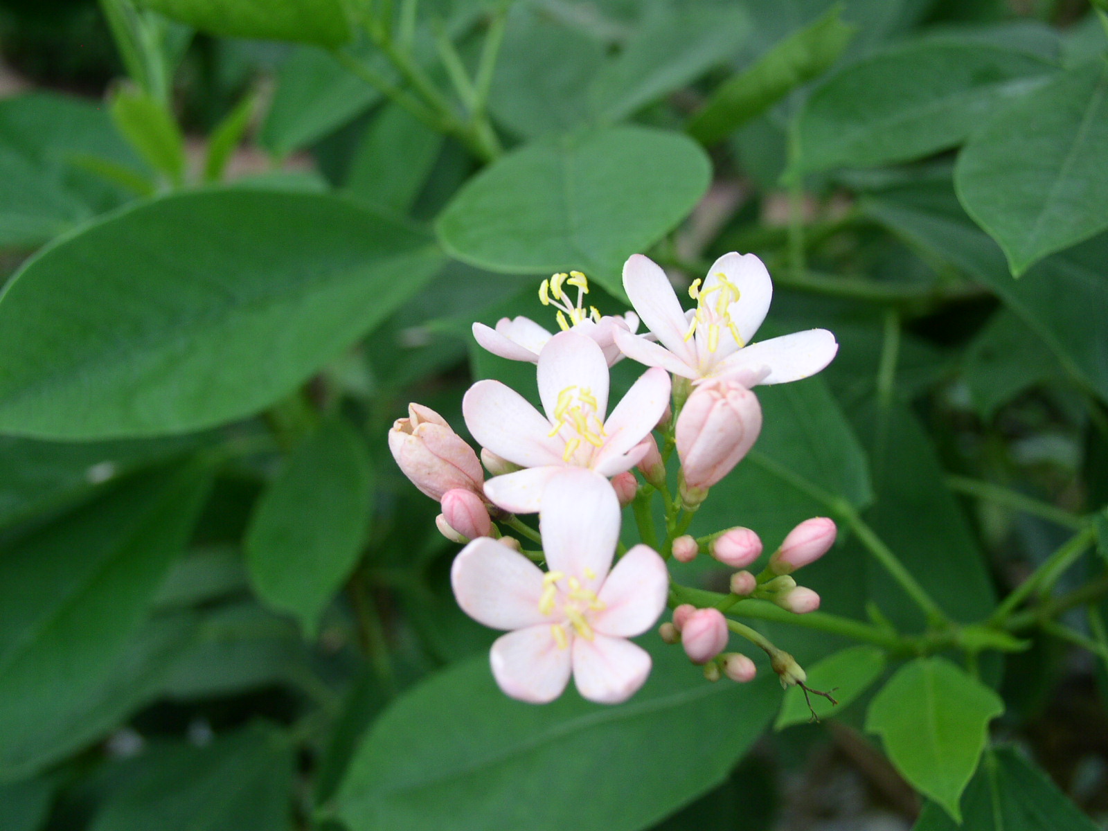 photo1